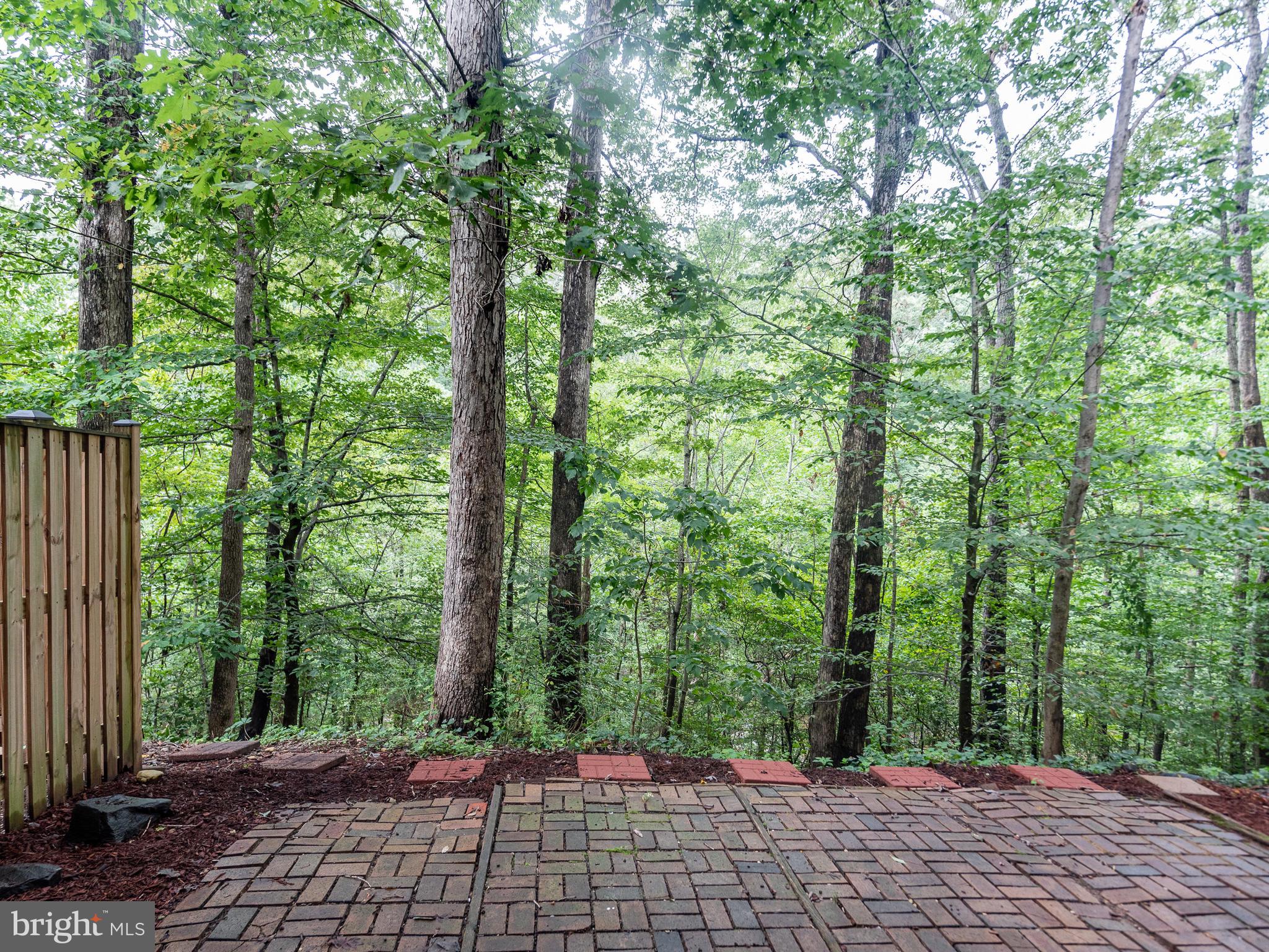 8564 Gwynedd Way Springfield, VA 22153 - Photo 41 of 45 Gallery Image 41