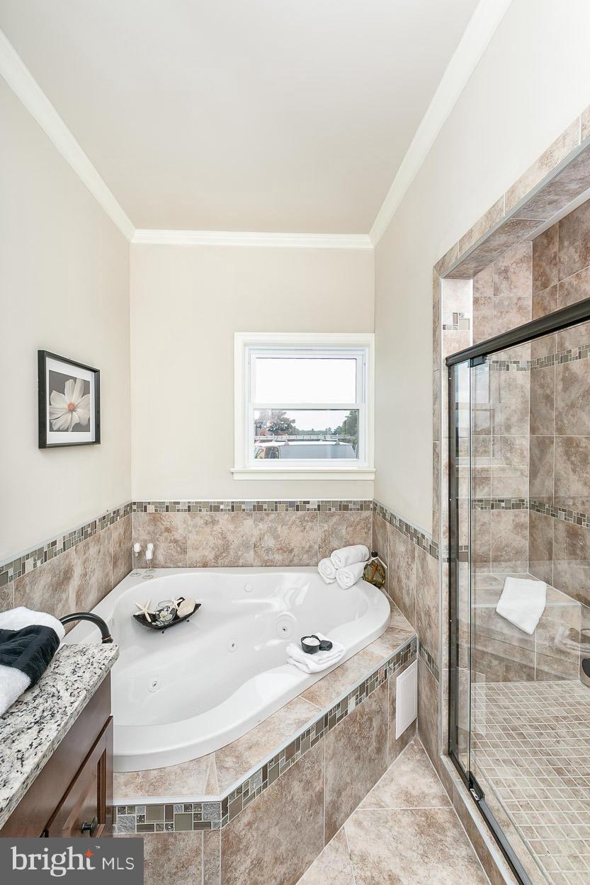 17337 Troyer Road Monkton, MD 21111 - Photo 13 of 30 Bath (Master)