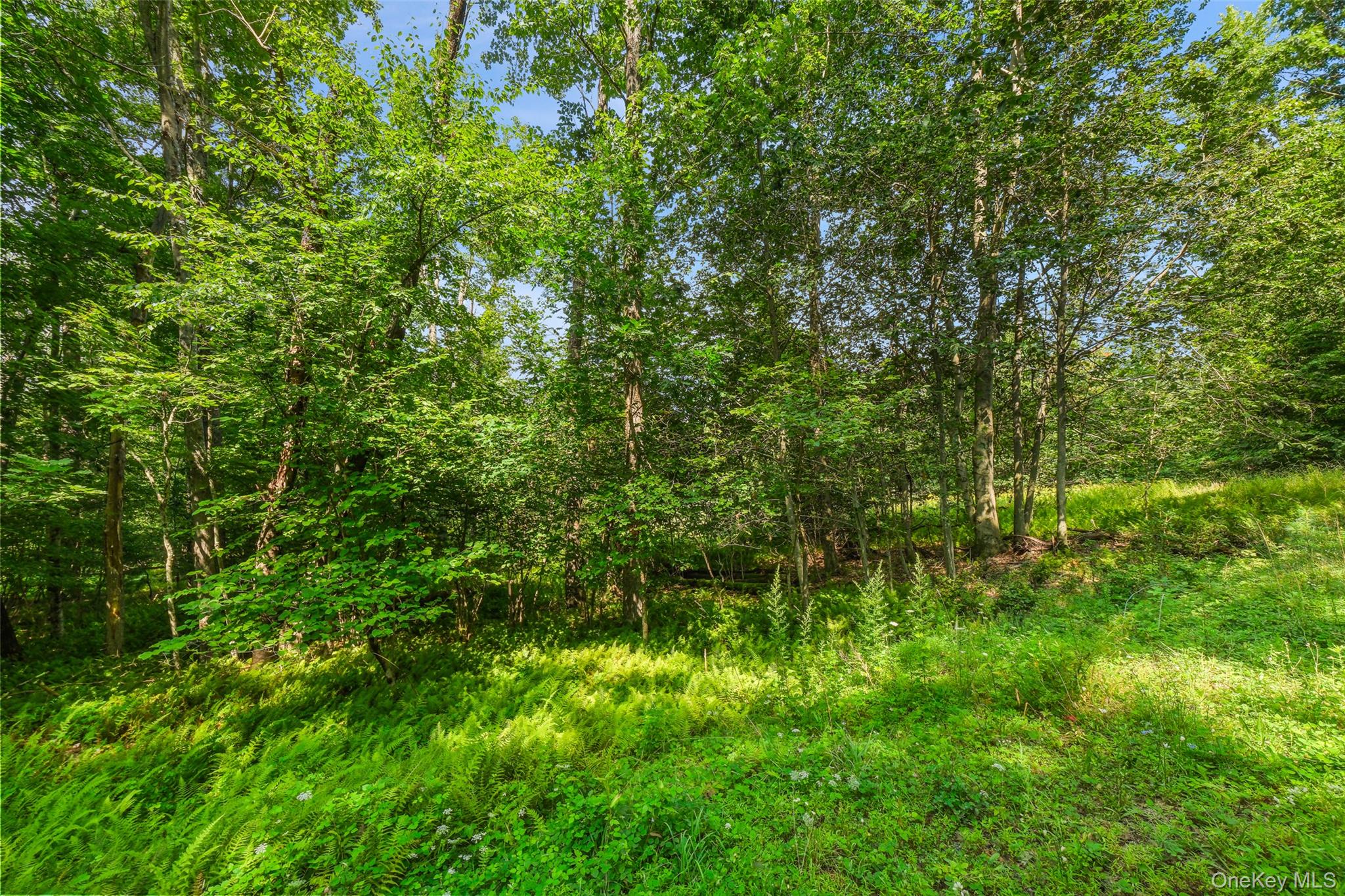 Oak Ridge Road Ellenville, NY 12428 - Photo 19 of 23 Side View