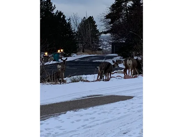 $760,000 | 1605 Sunnyside Drive, Loveland, CO 80538