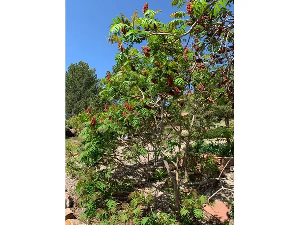 $760,000 | 1605 Sunnyside Drive, Loveland, CO 80538