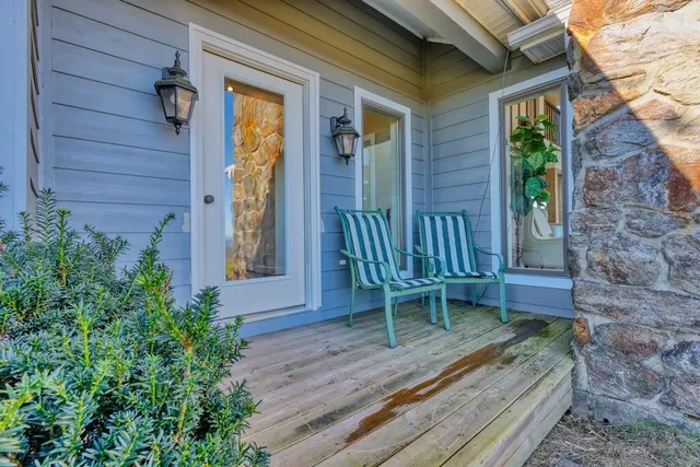 a view of a yard with plants and trees