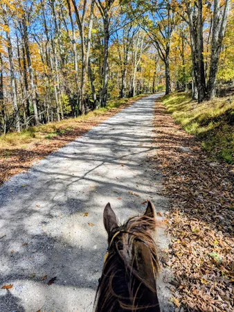 a view of outdoor space