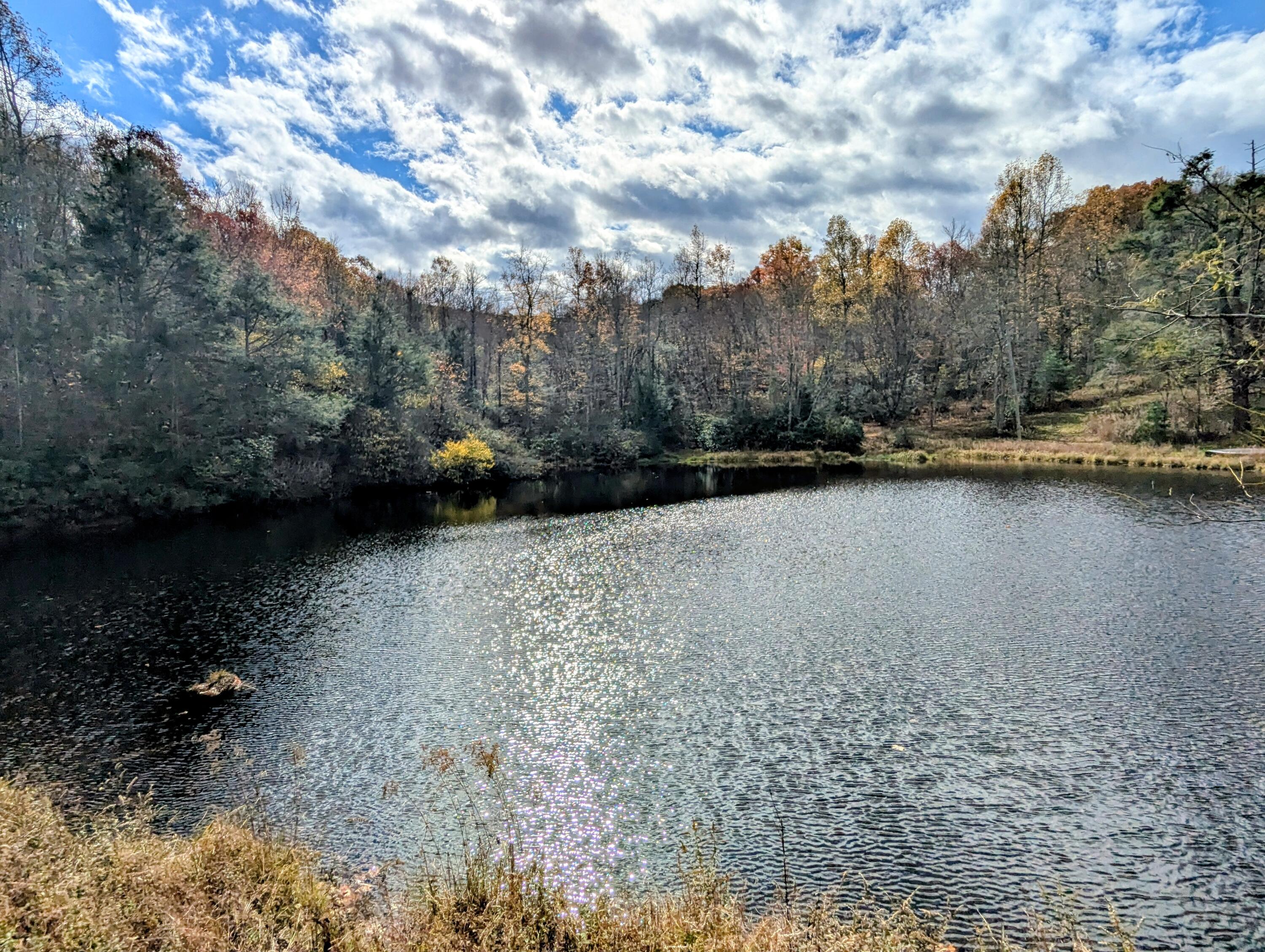 3384 Fairview Church Road Southwest Floyd, VA 24091 - Photo 38 of 62 a view of a lake with a yard