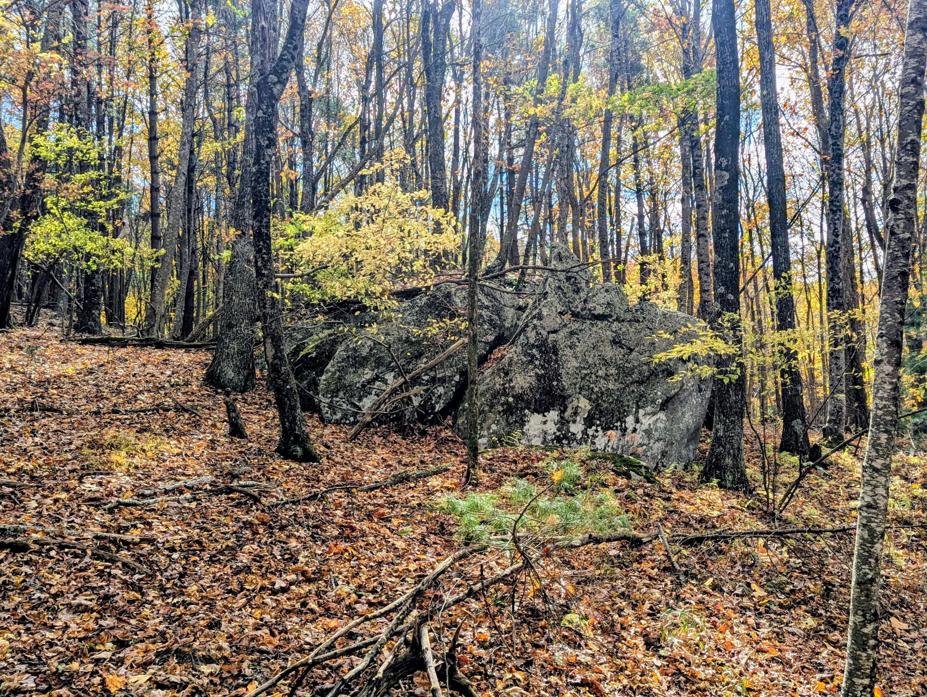 3384 Fairview Church Road Southwest Floyd, VA 24091 - Photo 40 of 62 a view of outdoor space