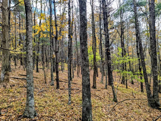 a view of a lake with a house in the background
