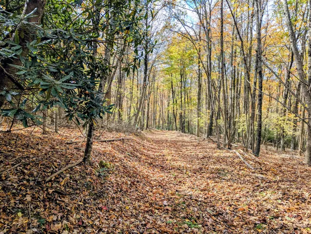 a view of outdoor space with seating