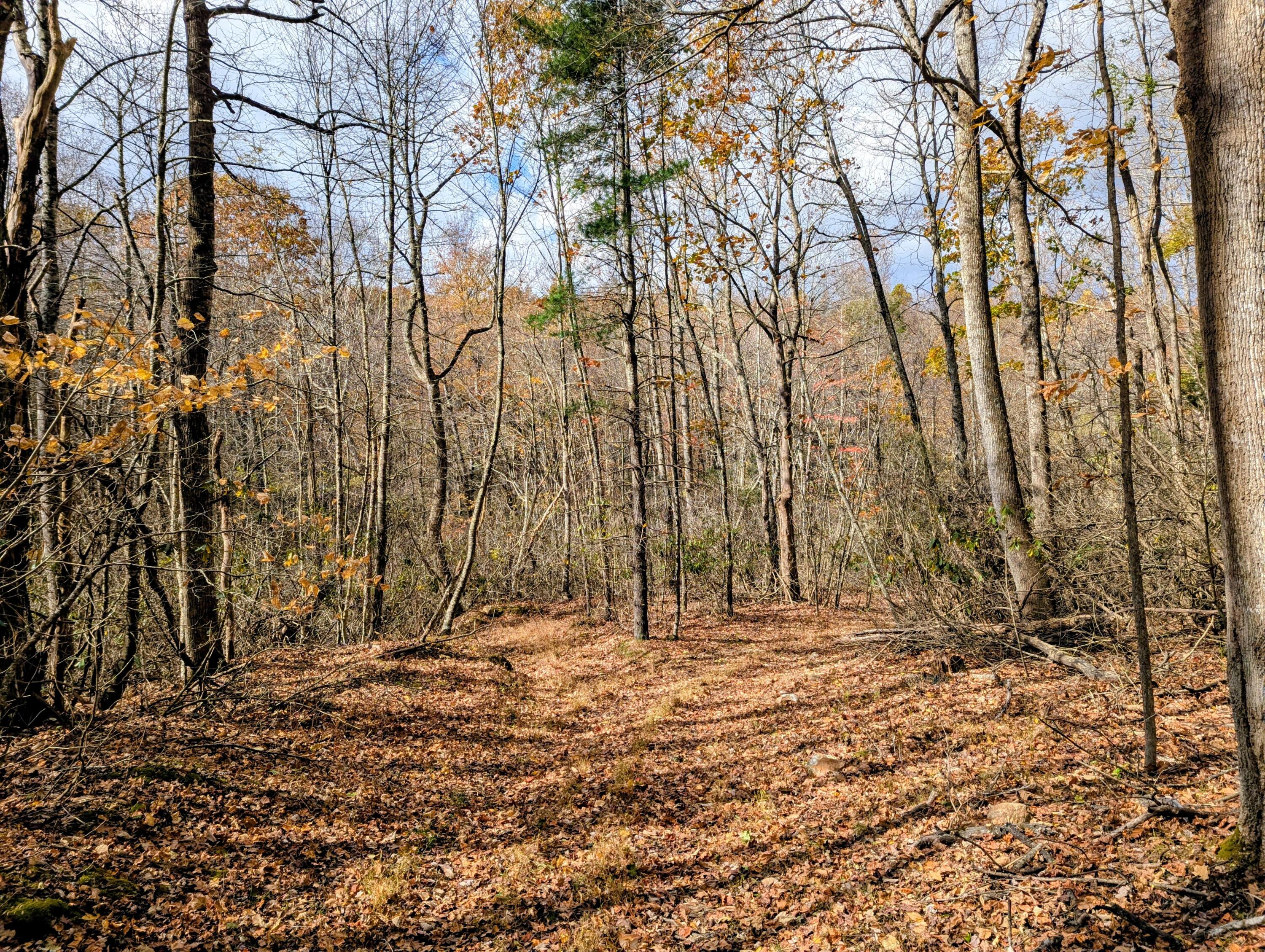 3384 Fairview Church Road Southwest Floyd, VA 24091 - Photo 44 of 62 44