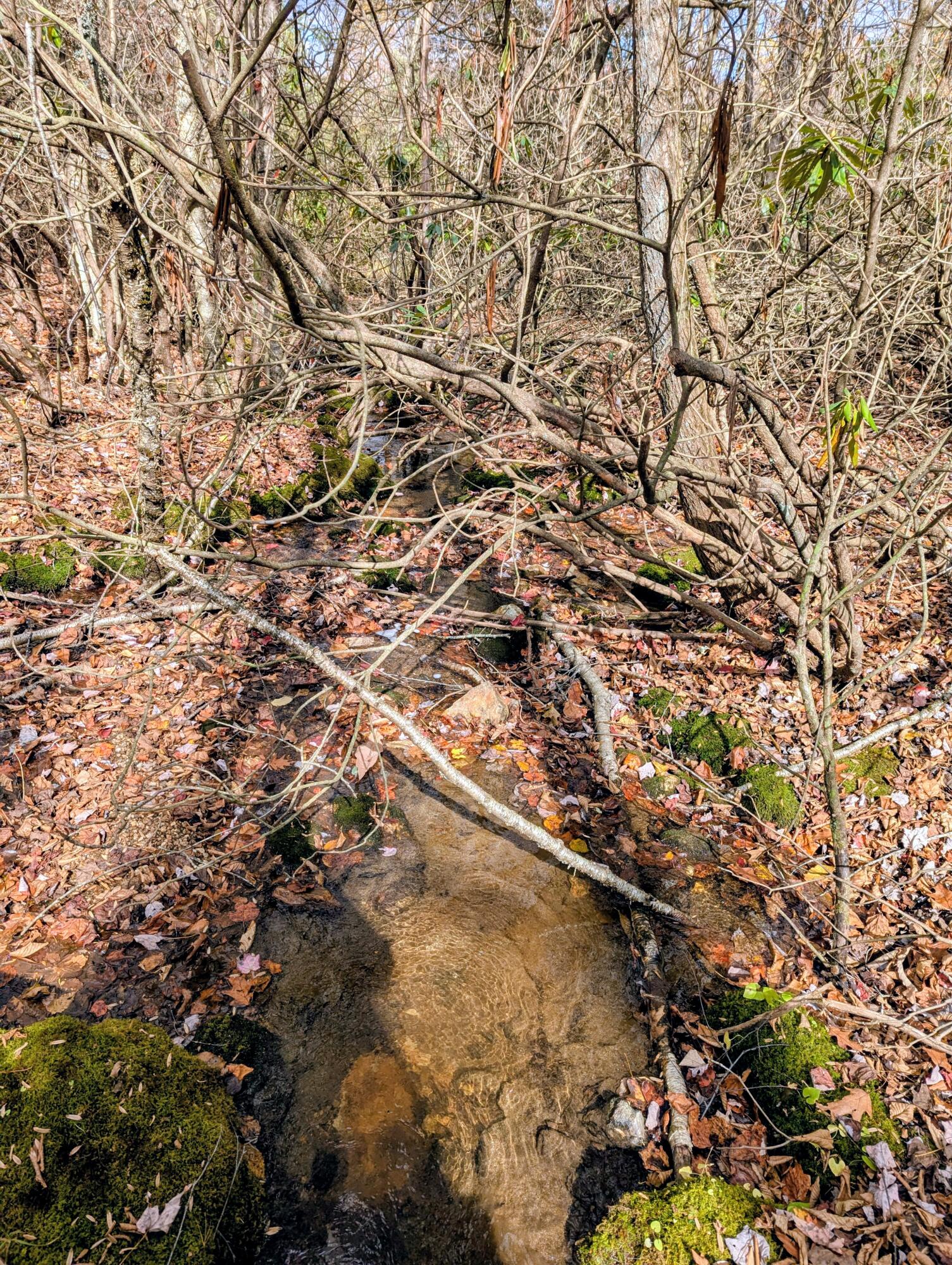 3384 Fairview Church Road Southwest Floyd, VA 24091 - Photo 45 of 62 45