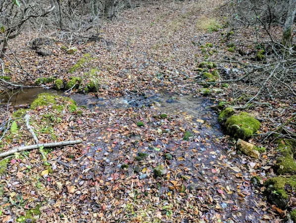 a view of backyard of house with green space