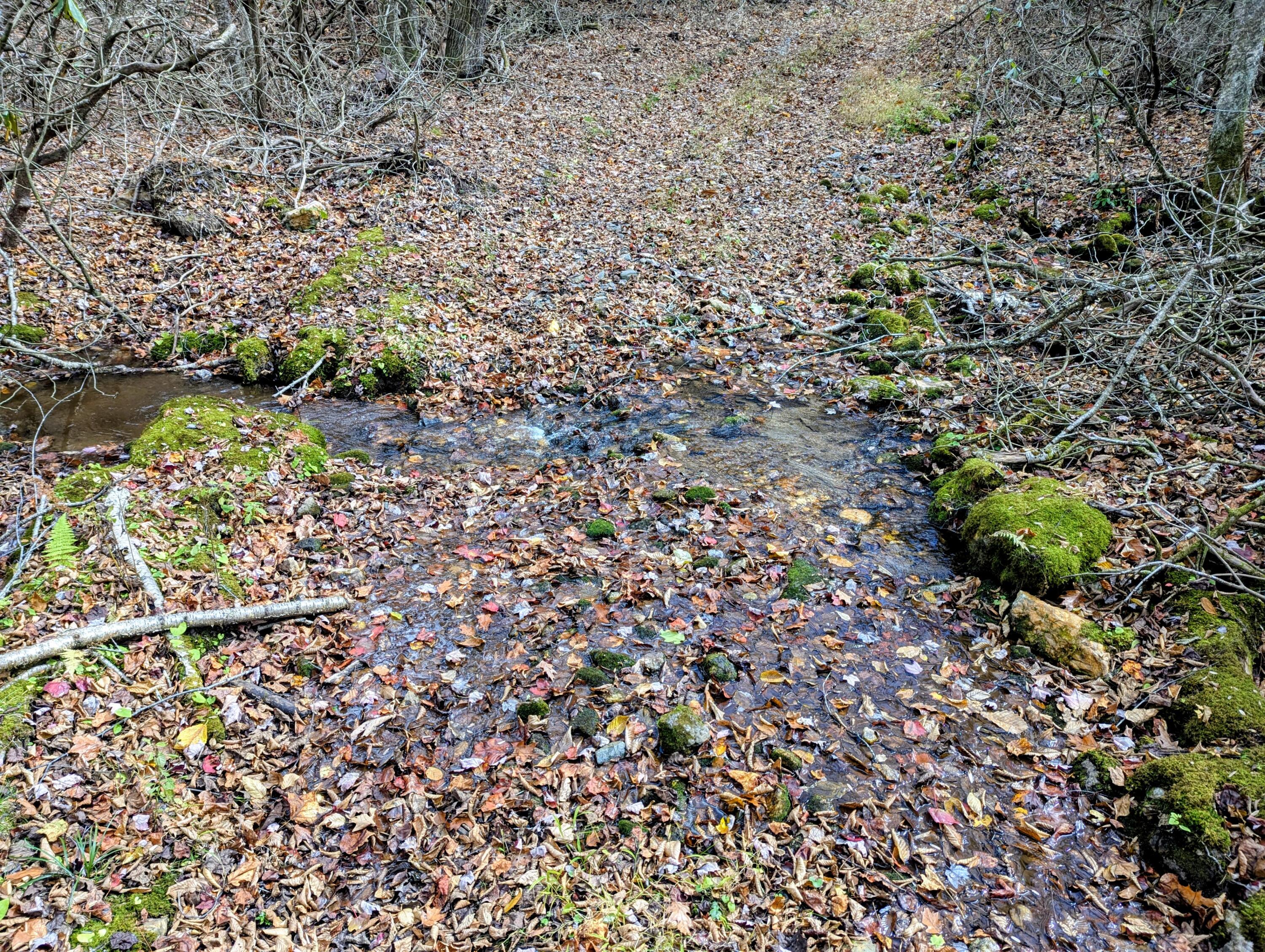 3384 Fairview Church Road Southwest Floyd, VA 24091 - Photo 47 of 62 47