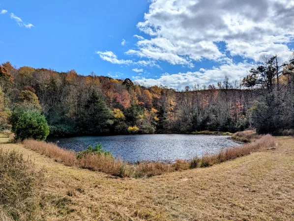 a view of a swimming pool with a lounge chairs