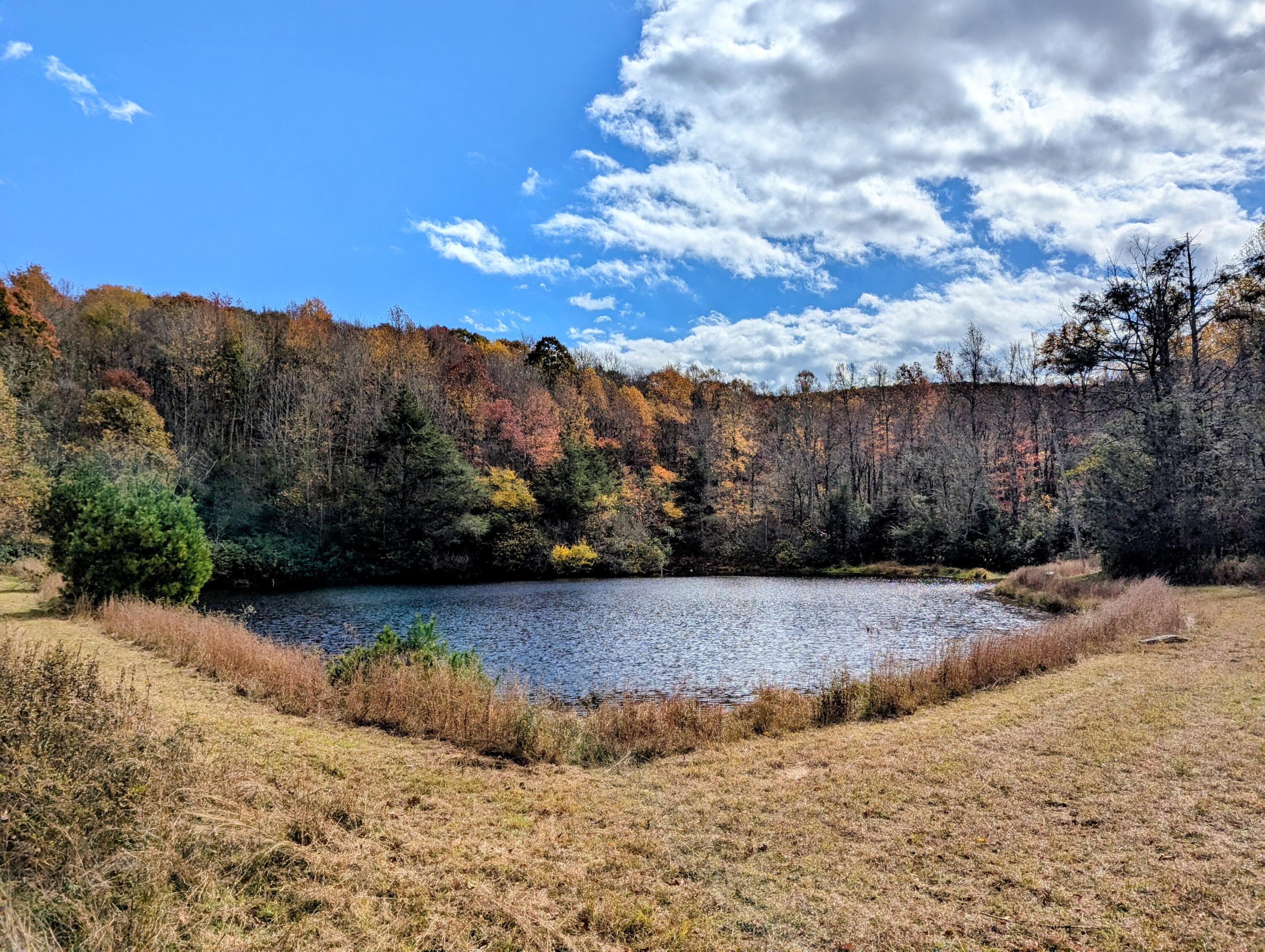 3384 Fairview Church Road Southwest Floyd, VA 24091 - Photo 50 of 62 51