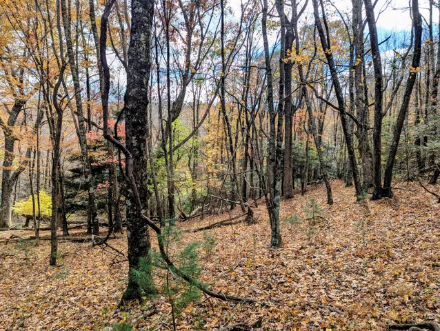 $1,500,000 | 3384 Fairview Church Road Southwest, Floyd, VA 24091