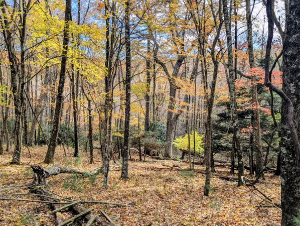 $1,300,000 | 3384 Fairview Church Road Southwest, Floyd, VA 24091