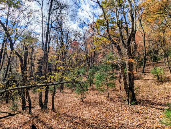 $1,300,000 | 3384 Fairview Church Road Southwest, Floyd, VA 24091