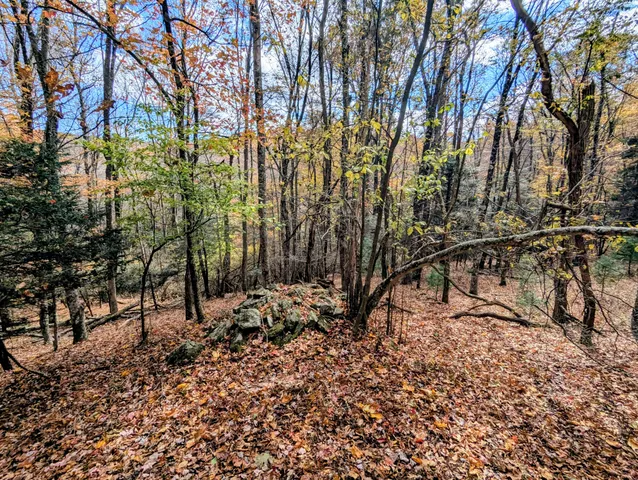 $1,500,000 | 3384 Fairview Church Road Southwest, Floyd, VA 24091