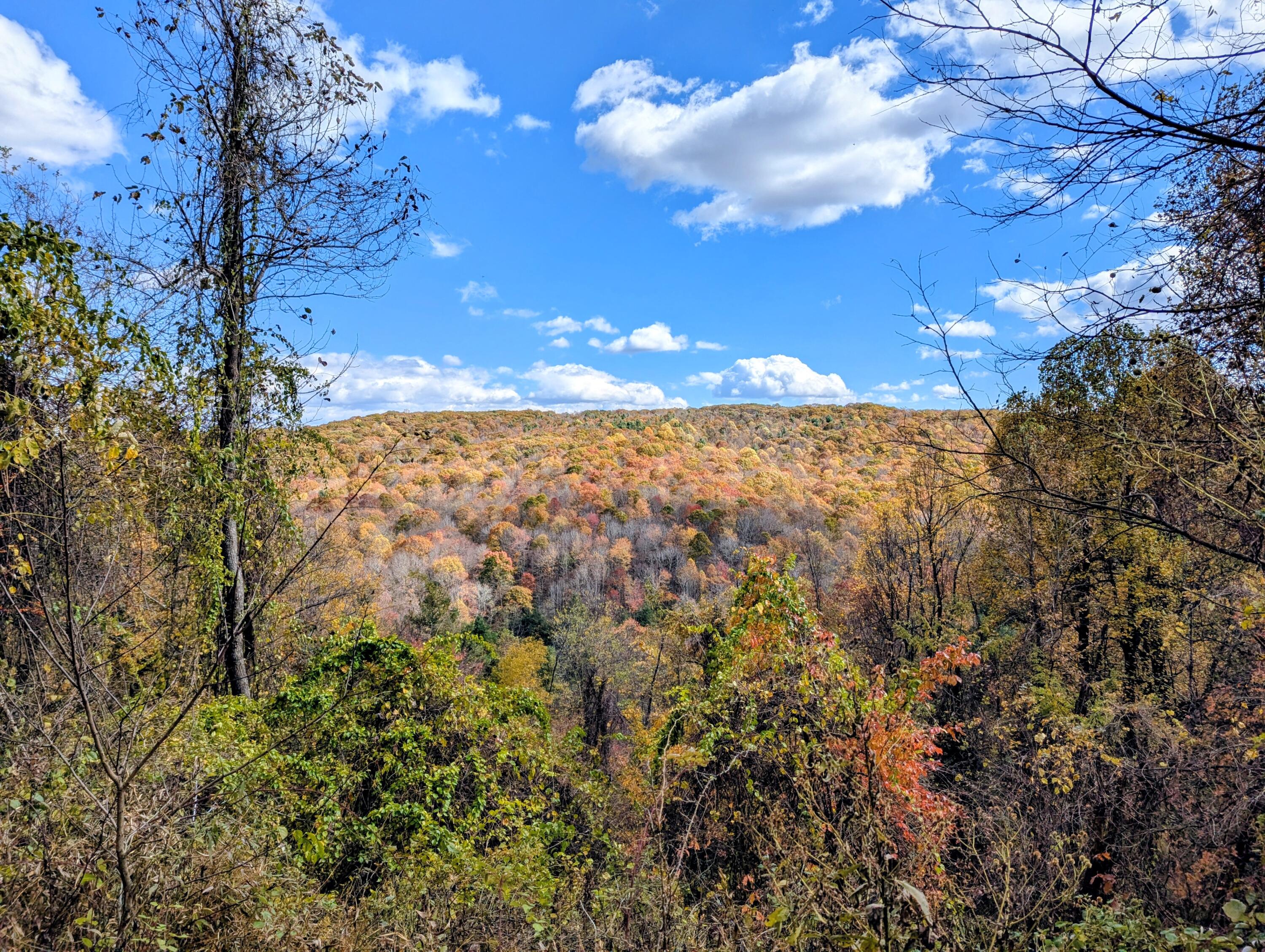 3384 Fairview Church Road Southwest Floyd, VA 24091 - Photo 56 of 62 57