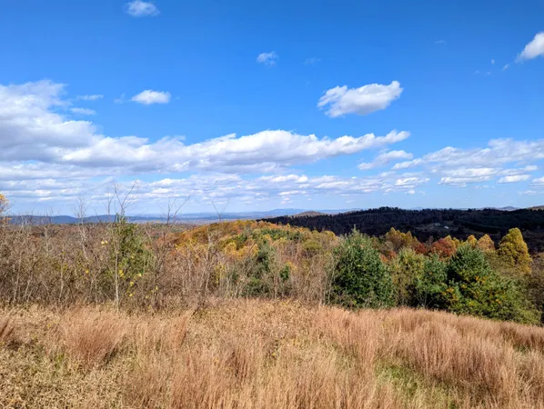 $1,300,000 | 3384 Fairview Church Road Southwest, Floyd, VA 24091