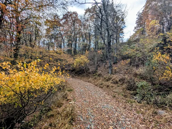 $1,300,000 | 3384 Fairview Church Road Southwest, Floyd, VA 24091