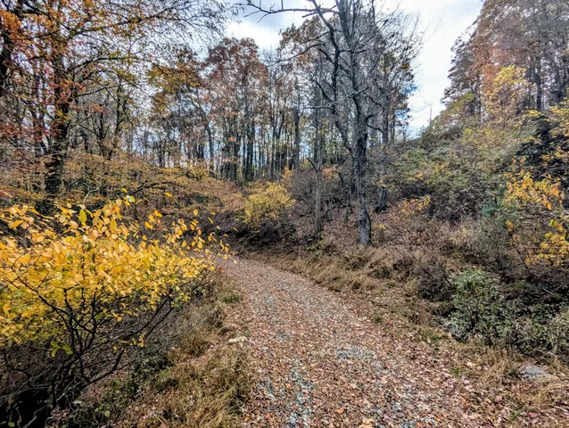 $1,500,000 | 3384 Fairview Church Road Southwest, Floyd, VA 24091