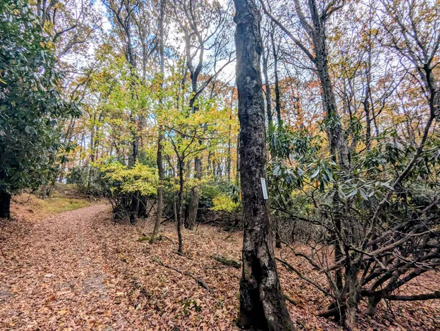 $1,500,000 | 3384 Fairview Church Road Southwest, Floyd, VA 24091