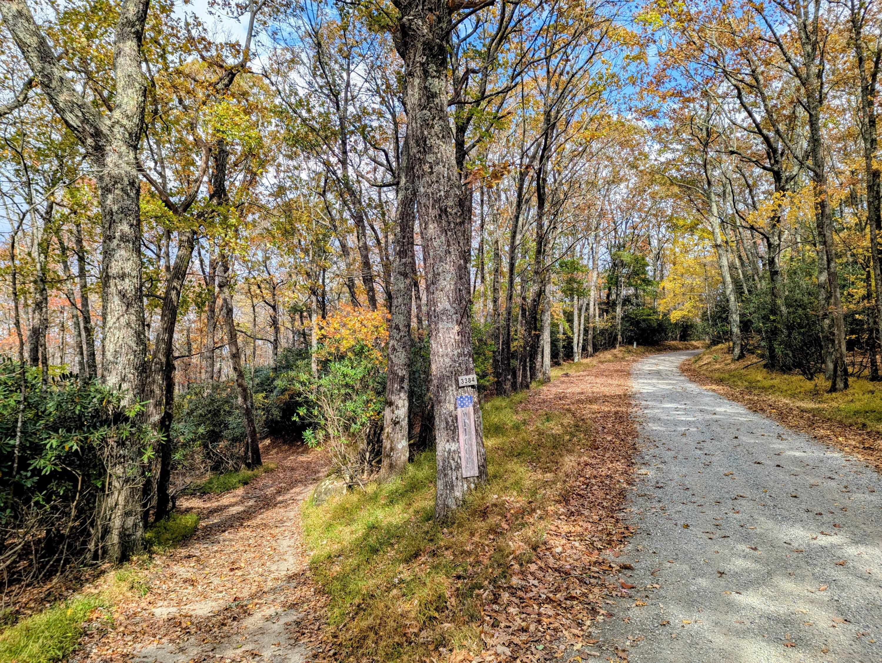 3384 Fairview Church Road Southwest Floyd, VA 24091 - Photo 7 of 62 a view of a yard with plants and trees