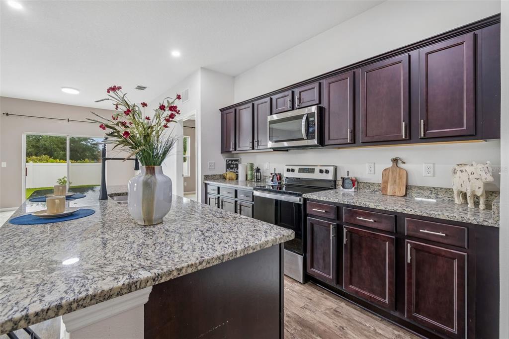 1261 Anchor Bend Drive Ruskin, FL 33570 - Photo 13 of 73