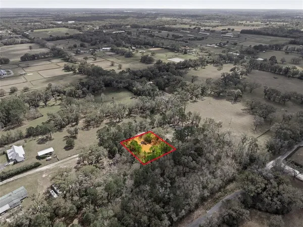 a view of a garden with plants