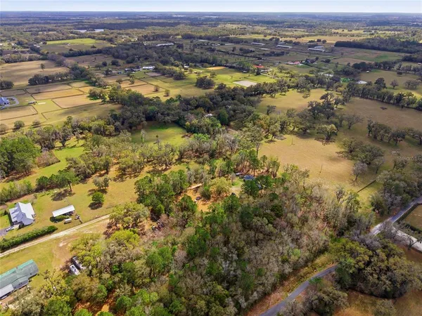 a view of a garden with plants