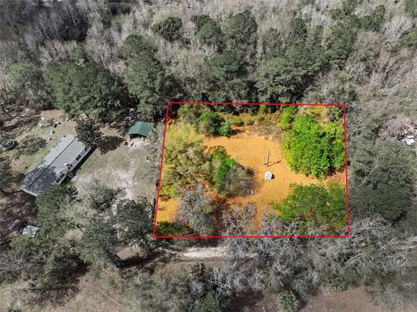 a view of a yard with plants