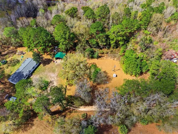 a view of a lake with a tree
