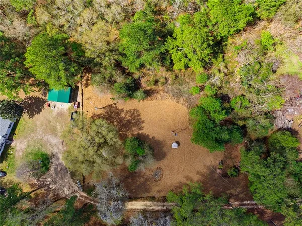 a view of a tree in a yard