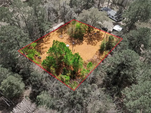 a view of a backyard with plants