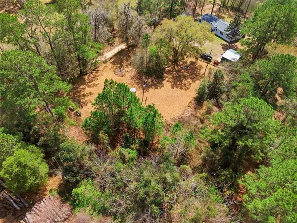 a view of a yard with plants and a bench