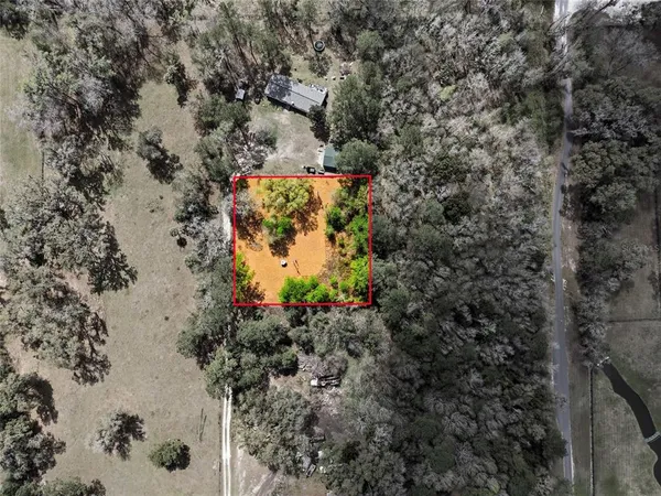 a view of a tree with a flower