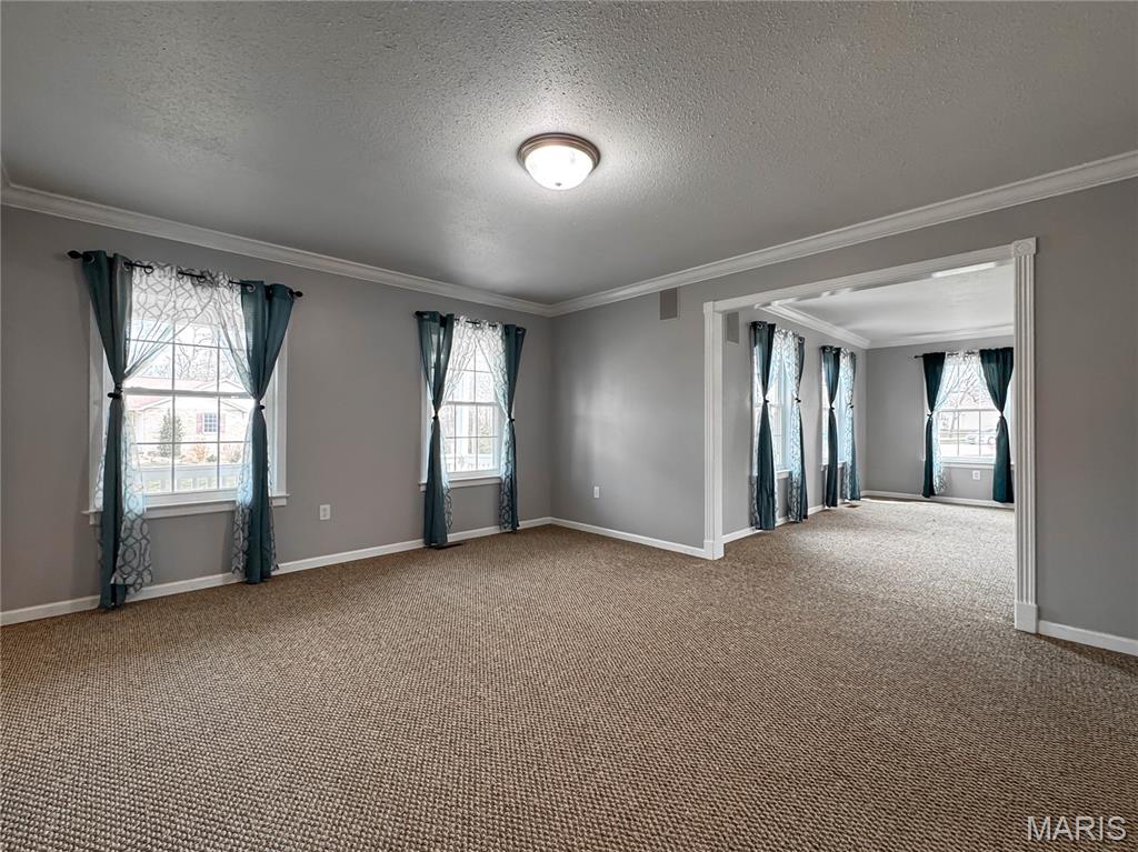 6411 Northbrook Drive Waterloo, IL 62298 - Photo 11 of 60