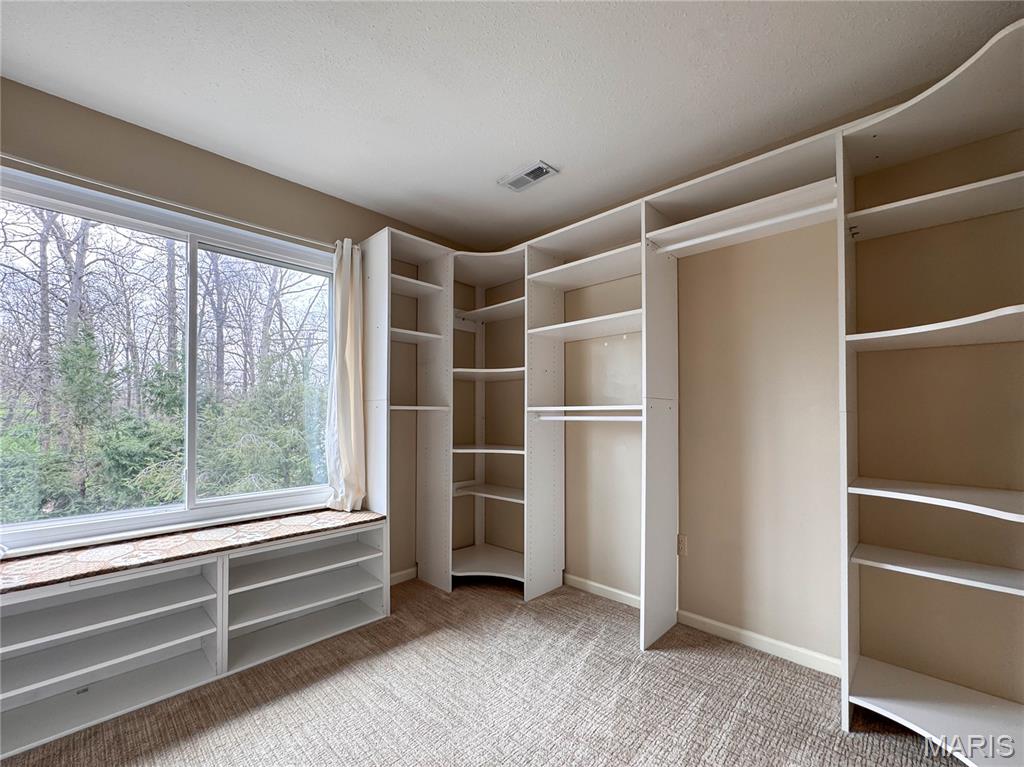 6411 Northbrook Drive Waterloo, IL 62298 - Photo 39 of 60