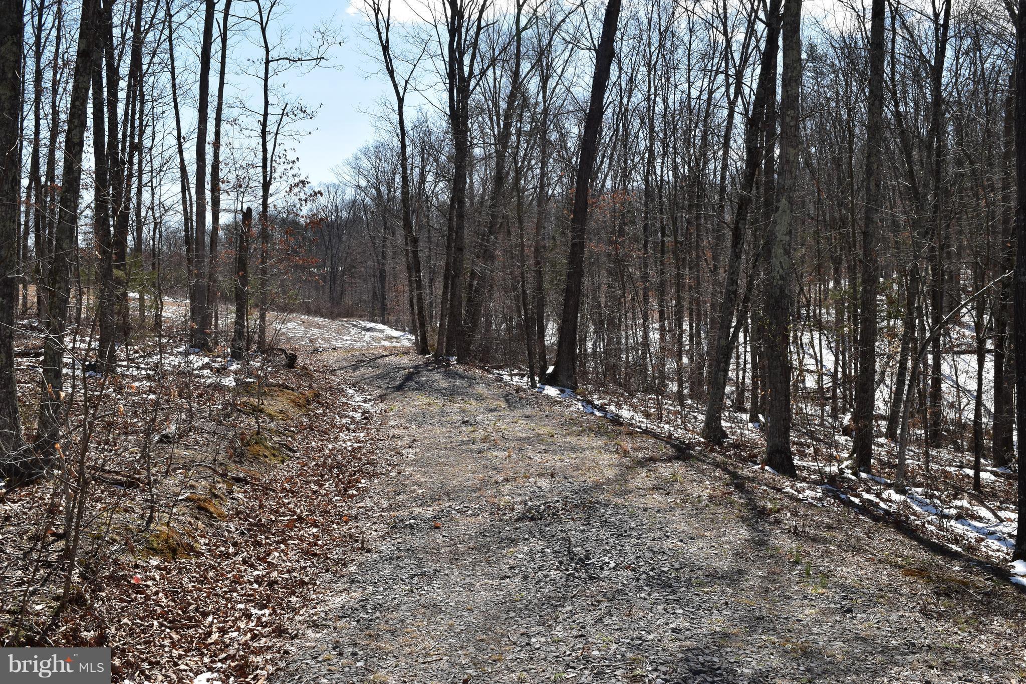 Ridgeway Road Front Royal, VA 22630 - Photo 2 of 20 Driveway installed