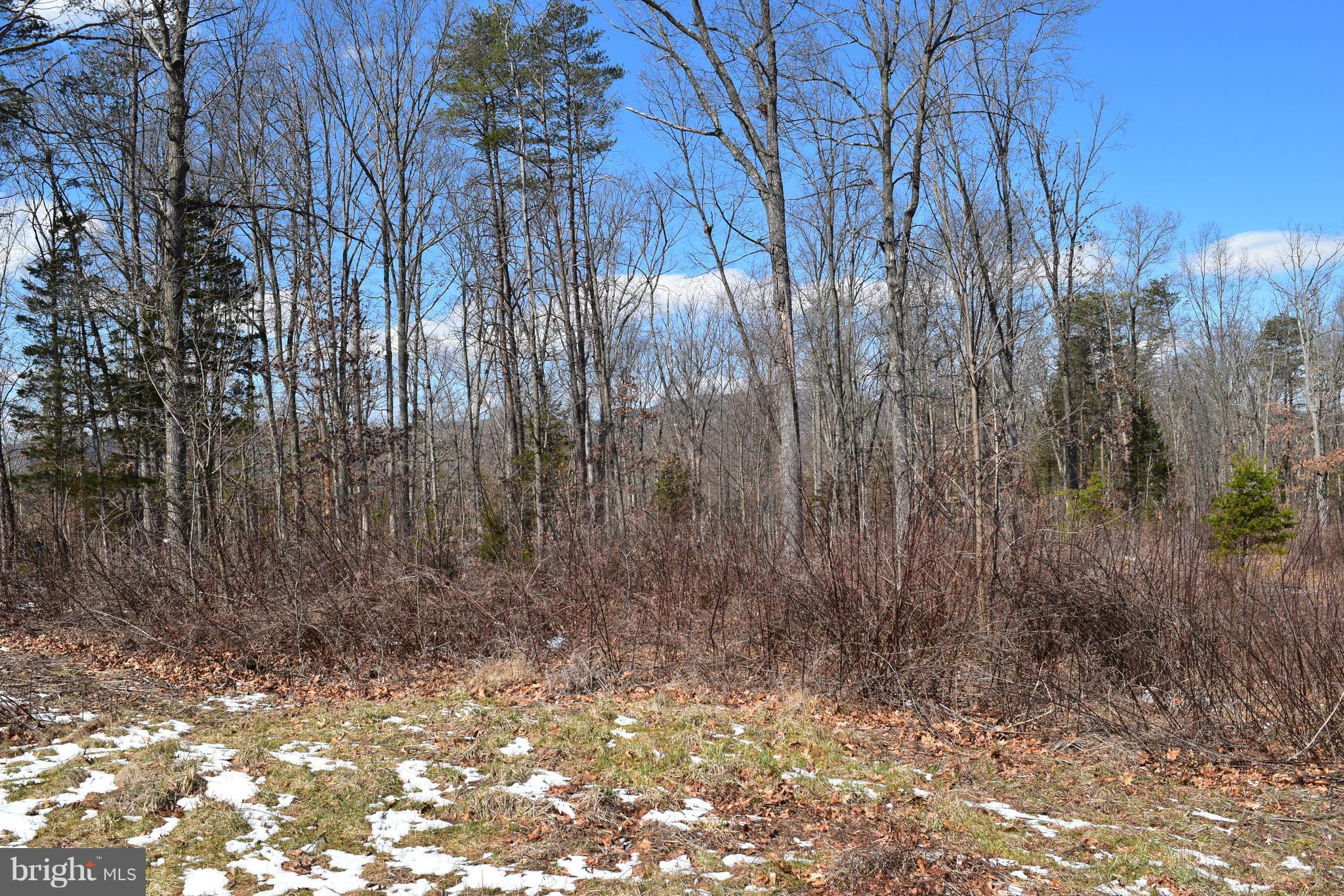 Ridgeway Road Front Royal, VA 22630 - Photo 10 of 20 Exterior (General)