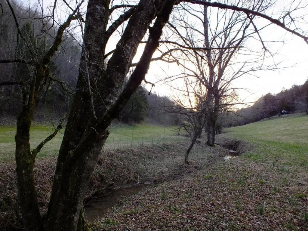 0 Kyle Valley Road Eidson, TN 37731 - Photo 6 of 14 Photo 6