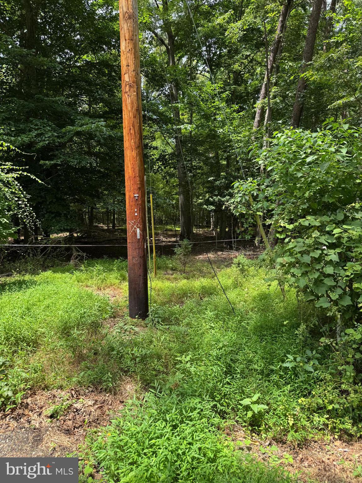 1901 Accokeek Road West Accokeek, MD 20607 - Photo 2 of 7