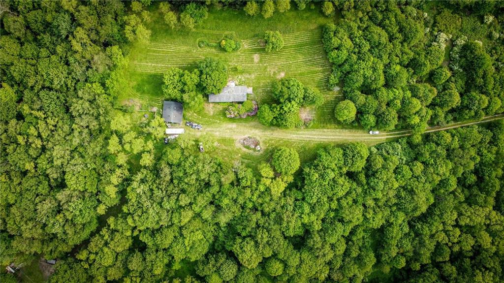 1117 Prospect Road Evans City, PA 16033 - Photo 7 of 7 a view of a garden