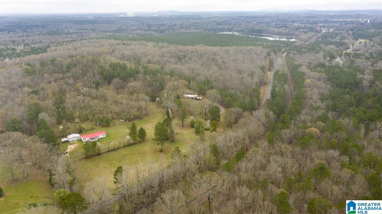 604 Cosper Bend Road Childersburg, AL 35044 - Photo 46 of 50