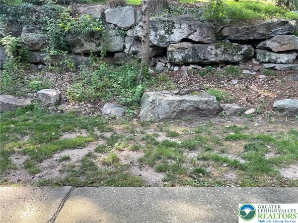 a view of a yard with plants