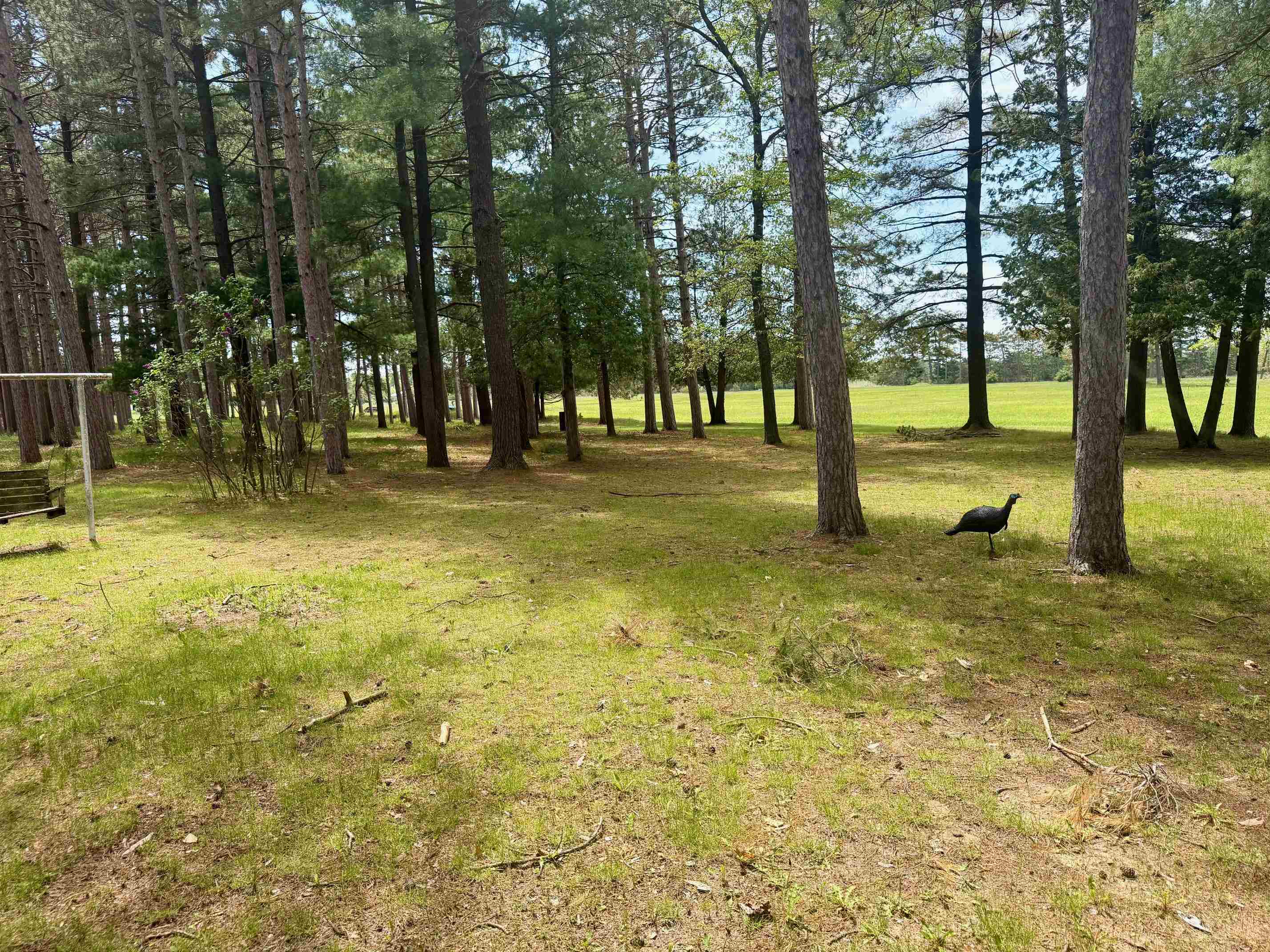 2659 North Johnson Road Weidman, MI 48893 - Photo 20 of 41 Gallery Image 20