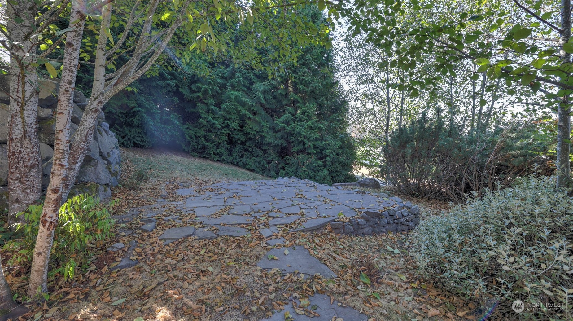 16601 Southeast 165th Way Renton, WA 98058 - Photo 30 of 33 a view of a yard with large trees