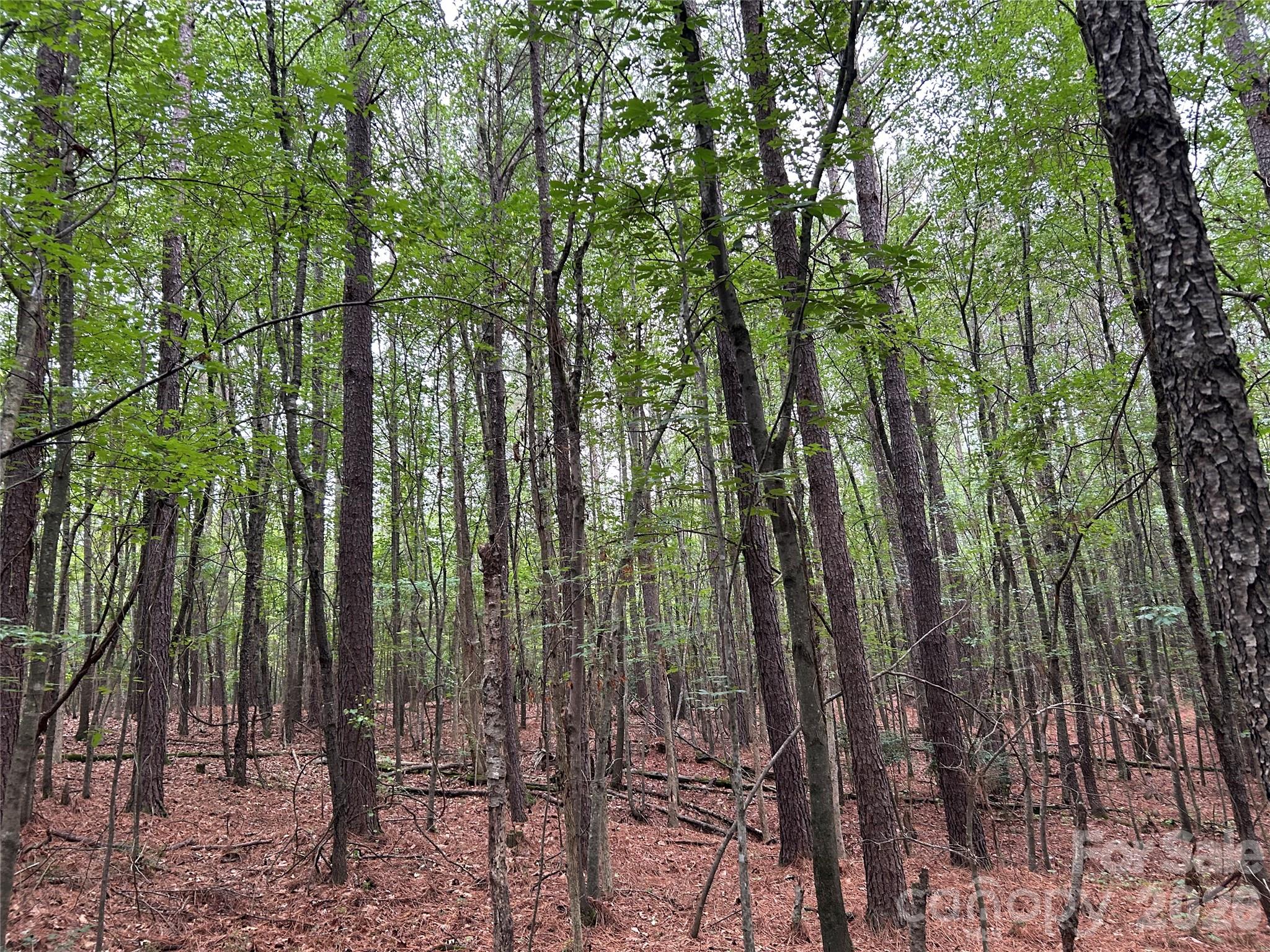 3909 Wightman Church Road Polkton, NC 28135 - Photo 45 of 48