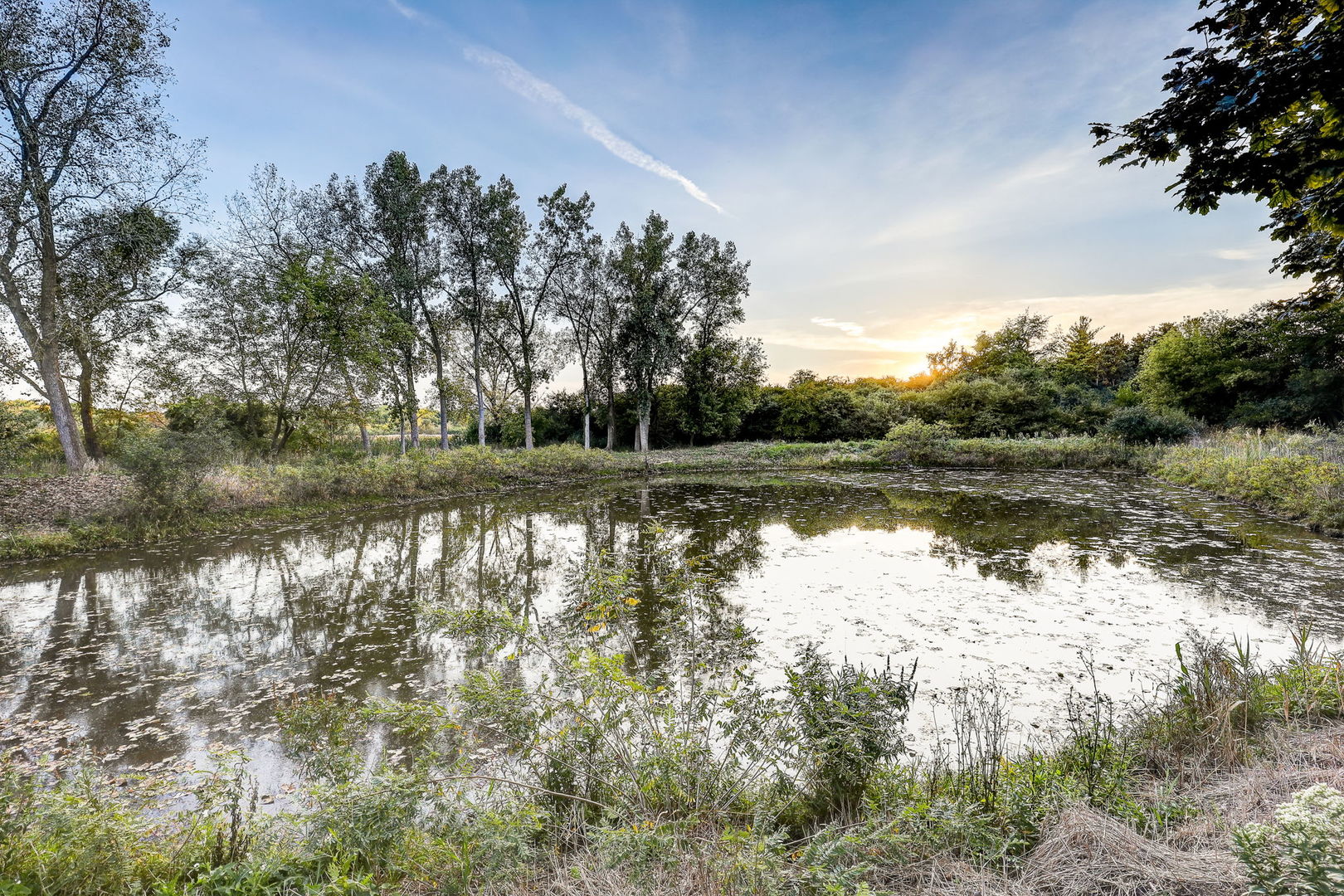 119 South Pleasant Road Lake Zurich, IL 60047 - Photo 61 of 62 Gallery Image 61