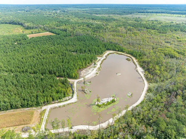 $3,000,000 | 0 No Where Road, Clarendon, NC 28432